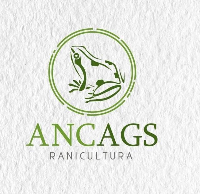Ancags Icono